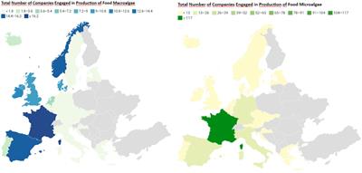 Algae as a source of protein in the sustainable food and gastronomy industry